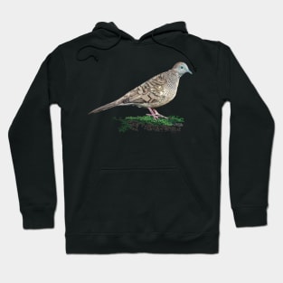 Zebra Dove, Barred Ground Dove Hoodie